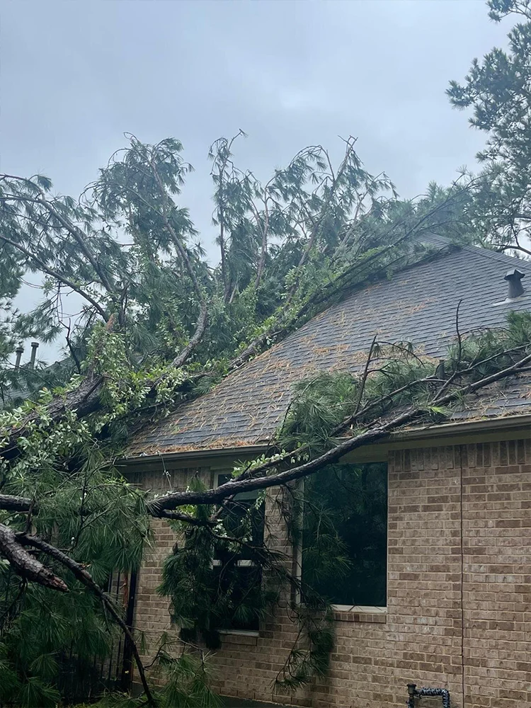 Value Roofing Contractor providing expert roof installations and roof replacement services for durable and reliable protection.